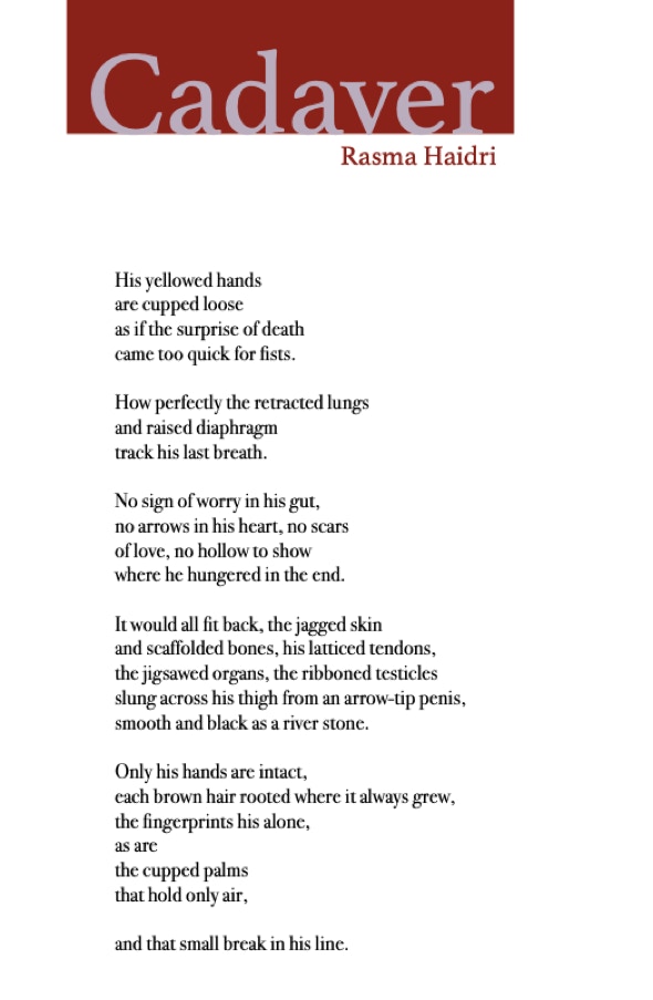 a poem by Rasma Haidri